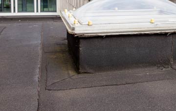 disadvantages of Leigh Delamere flat roofs